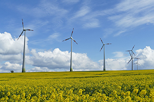 Energy Investment: Moving to the Romanian Wind Energy Market